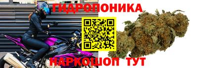 мяу мяу мука Среднеуральск