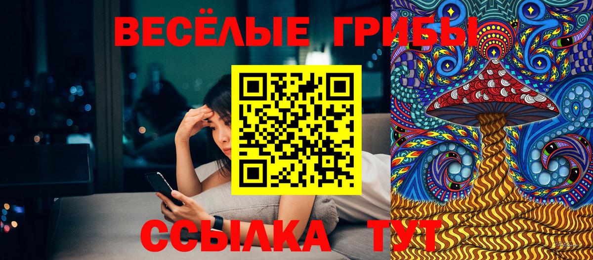 дарнет шоп  Вход с VPN  Богданович  Псилоцибиновые грибы Psilocybe 