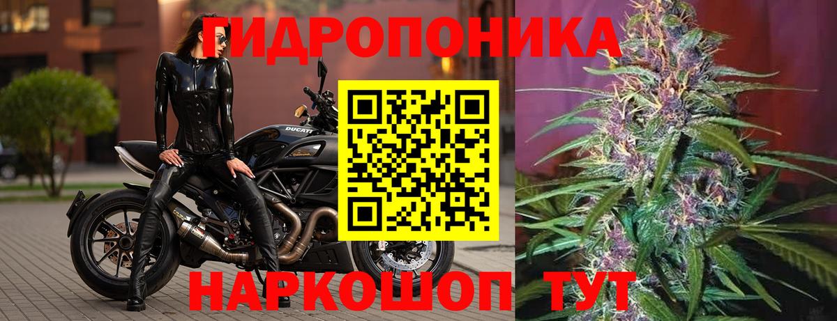 Конопля Ganja Богданович